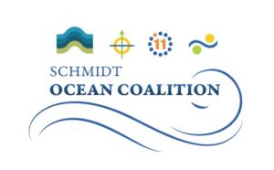 Schmidt Coalition Logo